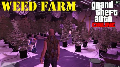 gta 5 online weed farm The Paleto Forest Sawmill is a sawmill in Grand Theft Auto V and Grand Theft Auto Online